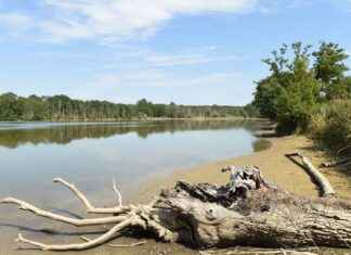 Electric car manufacturer Tesla power for the first time in two years, profit