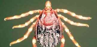 news-13062024-132556