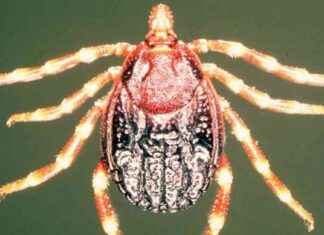 news-13062024-132556