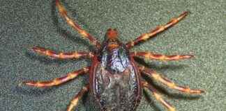 news-15062024-005919