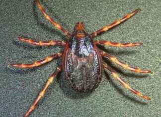 news-15062024-005919