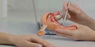 Endometrial Cancer: Abnormal Bleeding? Visit the Gynecologist
SEO Title: Understanding Endometrial Cancer: Abnormal Bleeding and Gynecologist Visit news-15062024-062043