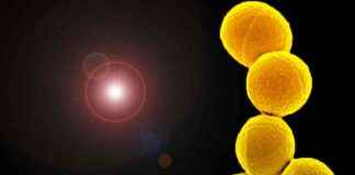 news-15062024-092105