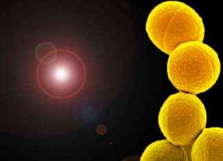 news-15062024-092105