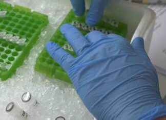 news-15062024-105609