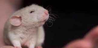 news-15062024-122729