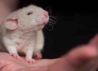 news-15062024-122729