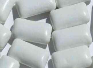 news-15062024-135702