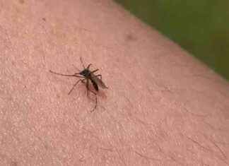 news-16062024-023439