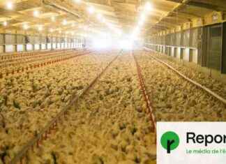 news-16062024-083730