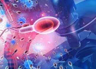 news-16062024-100815