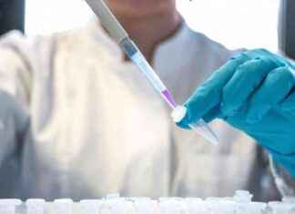 news-16062024-114012