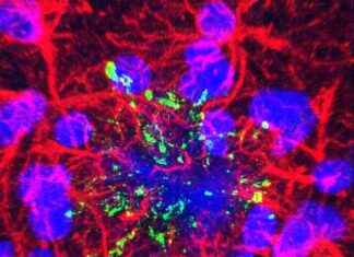 news-18062024-033358