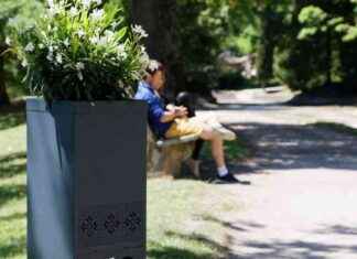 news-18062024-153439