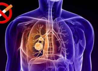 news-27062024-072512