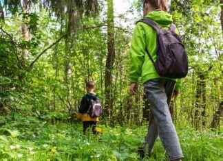 the-elusive-diagnosis-unraveling-the-complexity-of-lyme-disease-detection