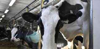 news-01072024-144458