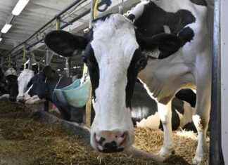 news-01072024-144458