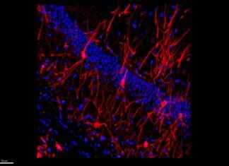 news-08072024-141034