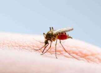 Understanding Anxiety: Symptoms, Causes, and When to Seek Help news-19072024-143418