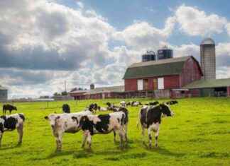 Transmission of Avian Influenza Between Mammals Confirmed news-03082024-130616