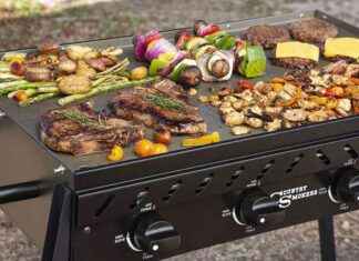 Las Mejores Parrillas de Plancha para tu Barbacoa en el Patio news-14082024-223322