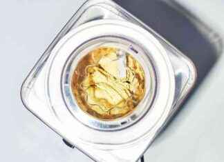 La Mejor Máquina para Hacer Helados es También la Más Sencilla news-03092024-135854