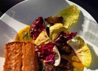 Salmón a la Sartén con Topinambur, Radicchio y Mantequilla de Curry news-24092024-172855