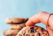 Galletas de Mantequilla de Nuez y Chocolate (Vegano + Sin Gluten) galletas-de-mantequilla-de-nuez-y-chocolate-vegano-sin-gluten