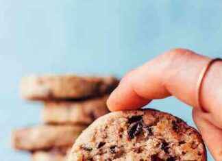 Galletas de Mantequilla de Nuez y Chocolate (Vegano + Sin Gluten) galletas-de-mantequilla-de-nuez-y-chocolate-vegano-sin-gluten