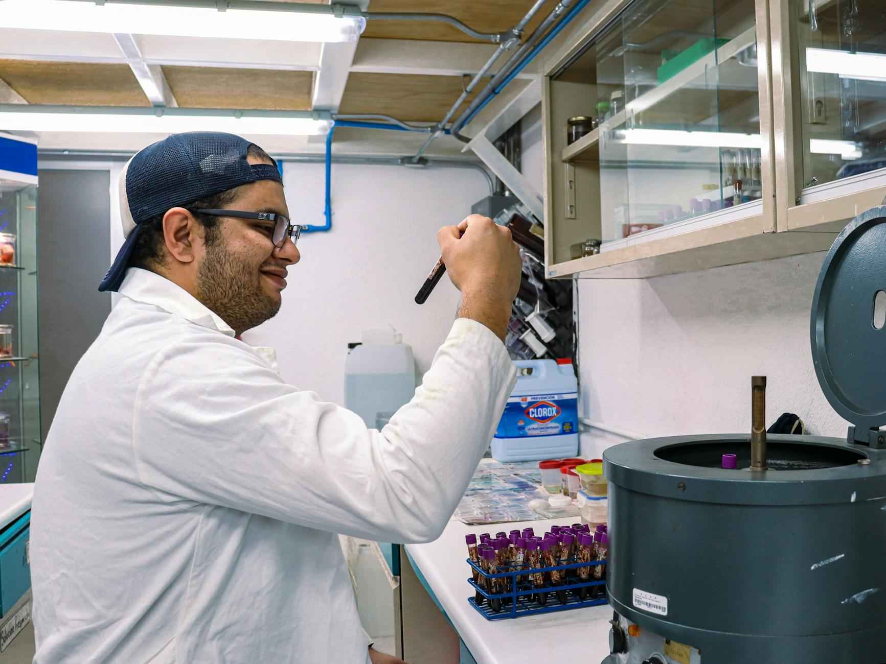 Bacalao Con Tomate Receta De La Abuela Sabrosa 2 Ingredientes Necesarios