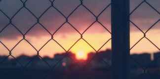 Codillo Al Horno Receta De La Abuela Para Disfrutar Codillo Al Horno Receta De La Abuela Para Disfrutar