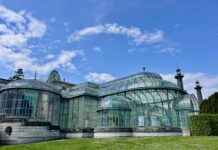 Dulce De Membrillo Receta De La Abuela Casera Dulce De Membrillo Receta De La Abuela Casera