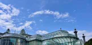 Dulce De Membrillo Receta De La Abuela Casera Dulce De Membrillo Receta De La Abuela Casera