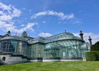 Dulce De Membrillo Receta De La Abuela Casera