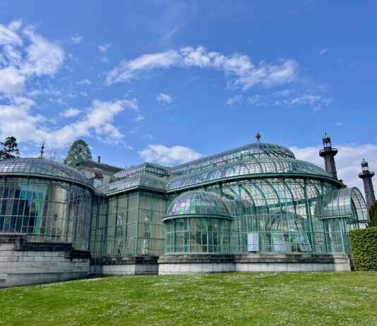 Dulce De Membrillo Receta De La Abuela Casera