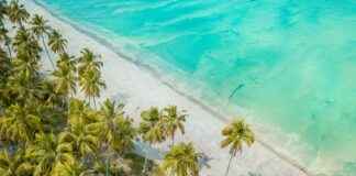 Pollo Al Ajillo Receta De La Abuela Tradicional Y Fácil Pollo Al Ajillo Receta De La Abuela Tradicional Y Fácil