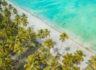 Pollo Al Ajillo Receta De La Abuela Tradicional Y Fácil Pollo Al Ajillo Receta De La Abuela Tradicional Y Fácil