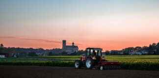 Receta De Rabo De Toro Tradicional Española Receta De Rabo De Toro Tradicional Española