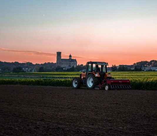 Receta De Rabo De Toro Tradicional Española