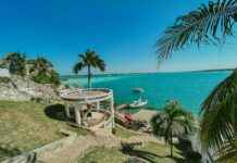 Recetas De Bacalao De La Abuela Para Triunfar