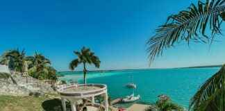 Recetas De Bacalao De La Abuela Para Triunfar Recetas De Bacalao De La Abuela Para Triunfar