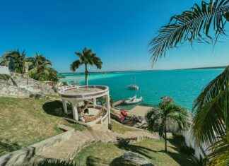 Recetas De Bacalao De La Abuela Para Triunfar