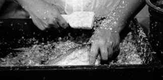 Sopa De Pescado Receta De La Abuela Con Mucho Sabor Sopa De Pescado Receta De La Abuela Con Mucho Sabor