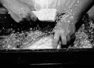 Sopa De Pescado Receta De La Abuela Con Mucho Sabor