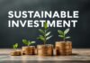 Sustainable Investments: How to Align Your Finances with Planet Care