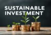 Sustainable Investments: How to Align Your Finances with Planet Care
